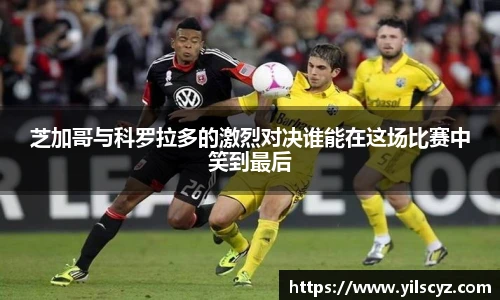 智博
