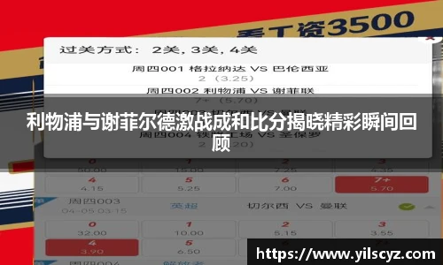 智博19
